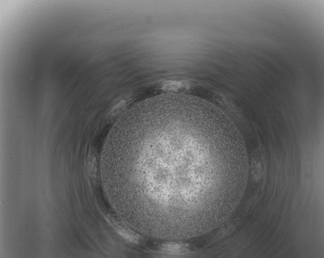 X0000080150375200612151836