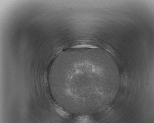 X0000080150377200612151836