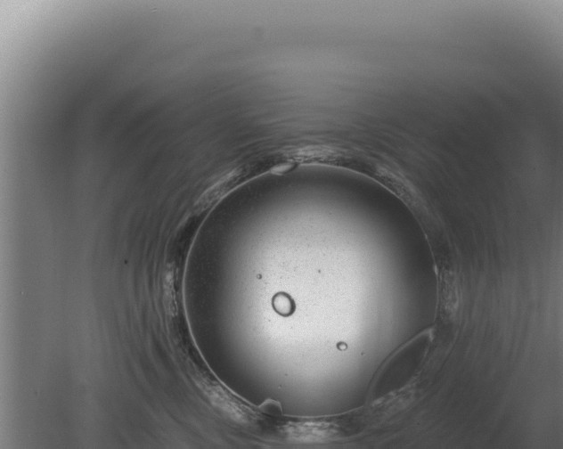 X0000080150378200612151836