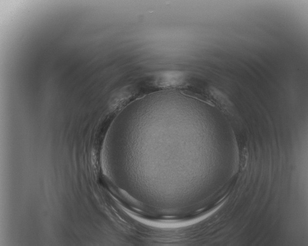 X0000080150380200612151836