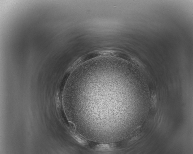 X0000080150381200612151836