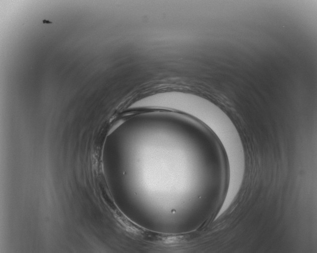 X0000080150382200612151836