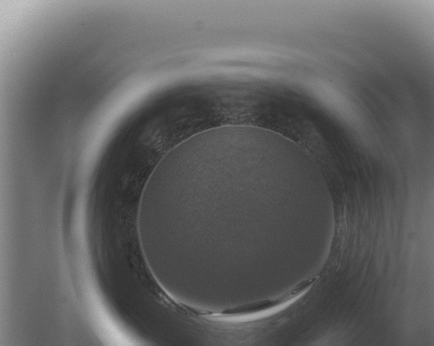 X0000080150383200612151836