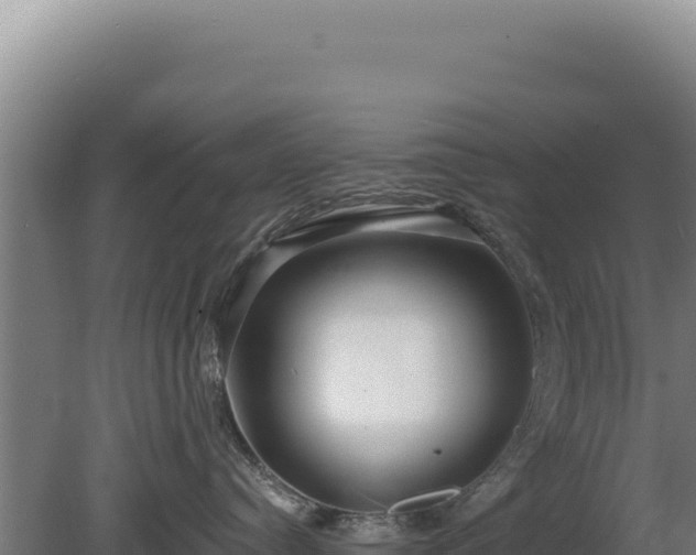 X0000080150384200612151836