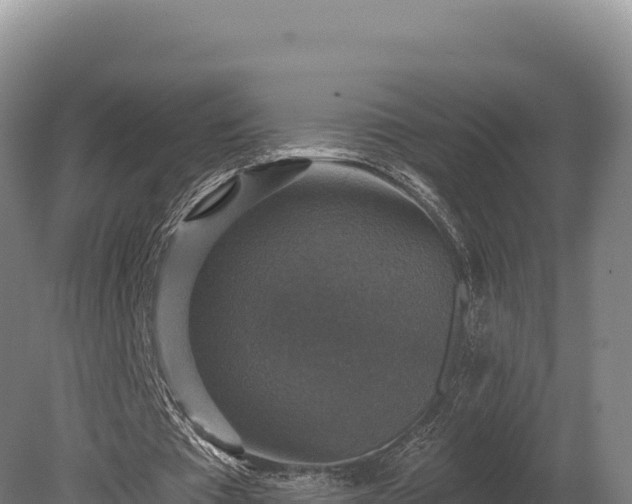 X0000080150385200612151836