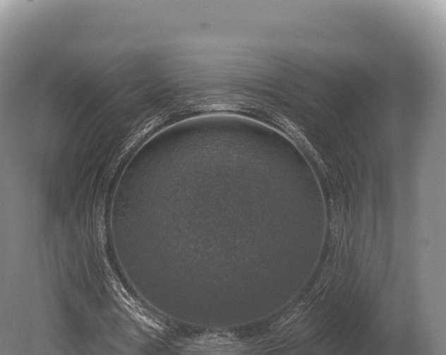 X0000080150386200612151836