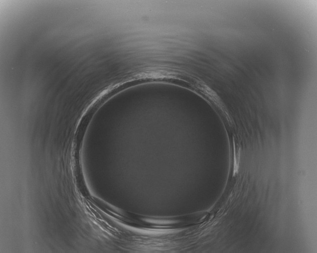 X0000080150387200612151836