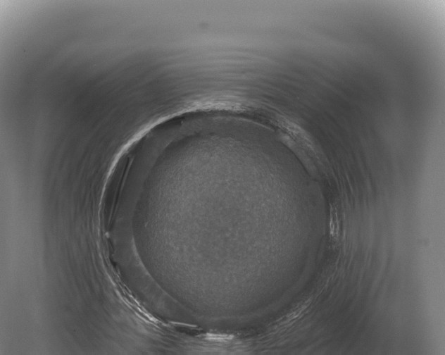 X0000080150388200612151836