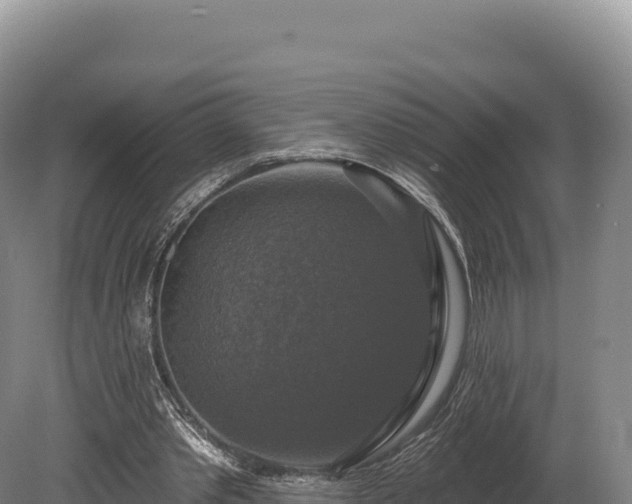 X0000080150389200612151836