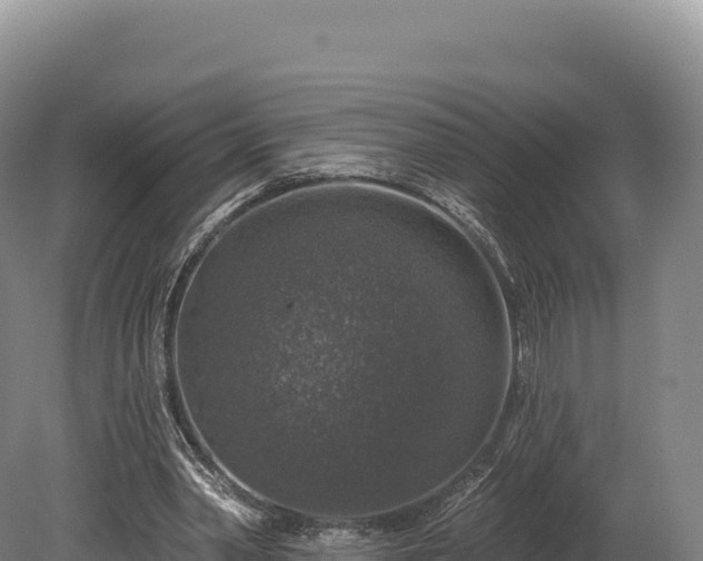 X0000080150390200612151835