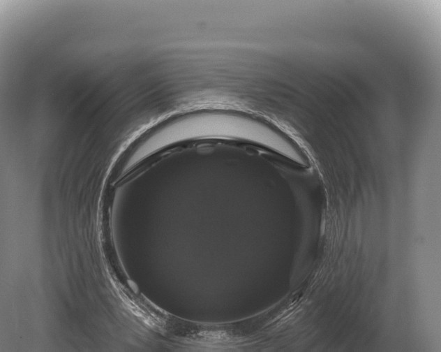 X0000080150391200612151835