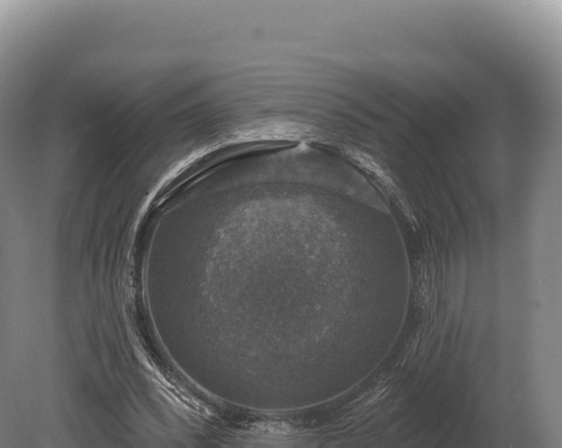 X0000080150392200612151835