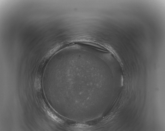 X0000080150393200612151835