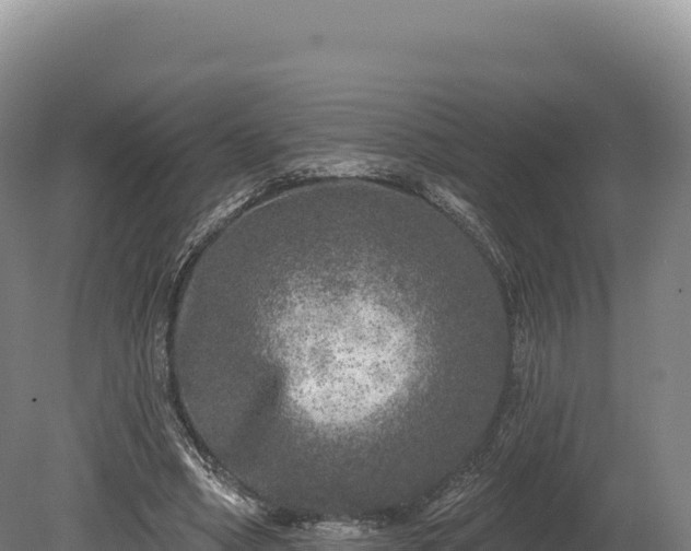 X0000080150394200612151835