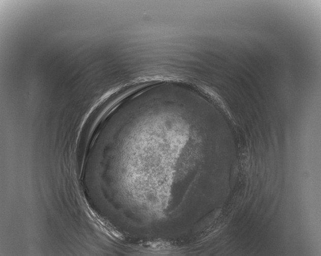 X0000080150395200612151835