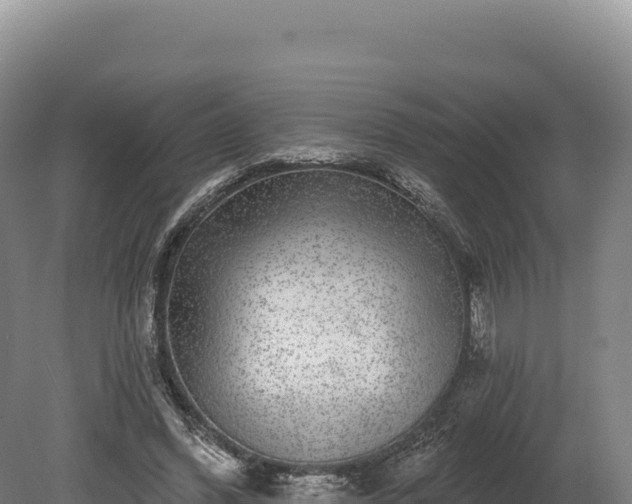 X0000080150396200612151835