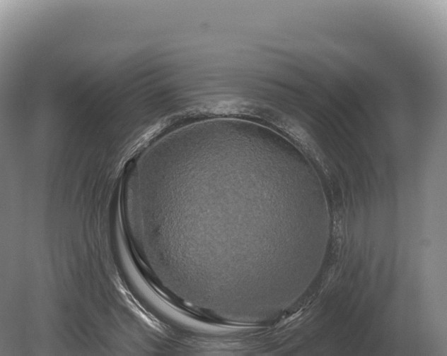 X0000080150397200612151835