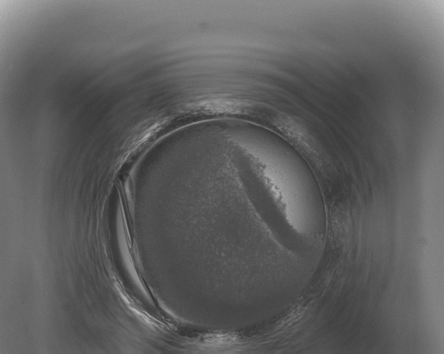 X0000080150398200612151835