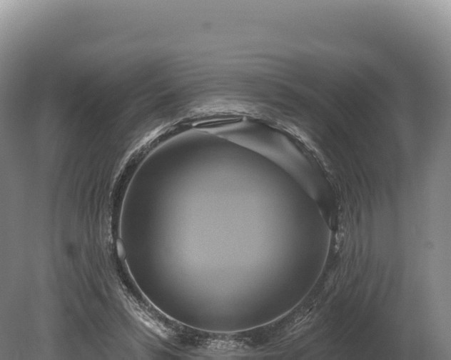 X0000080150399200612151835