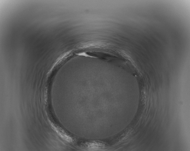 X0000080150400200612151835