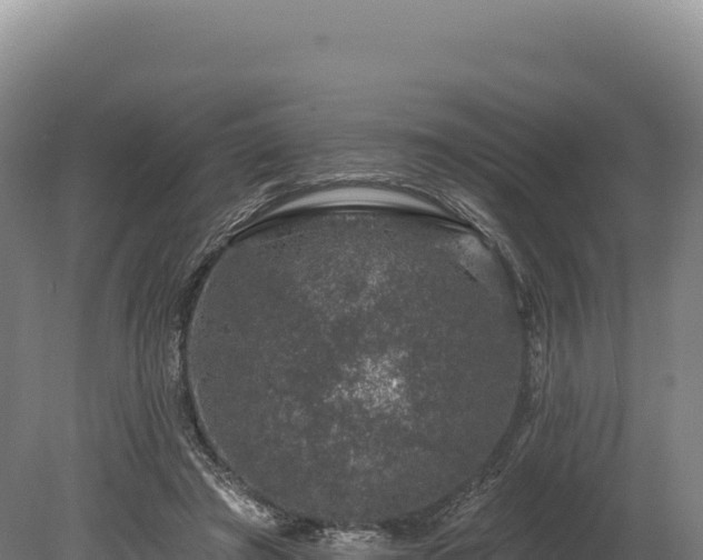 X0000080150401200612151835