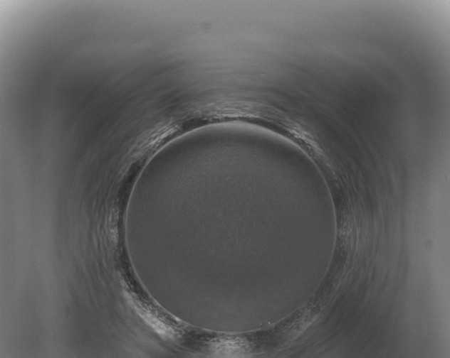 X0000080150402200612151835