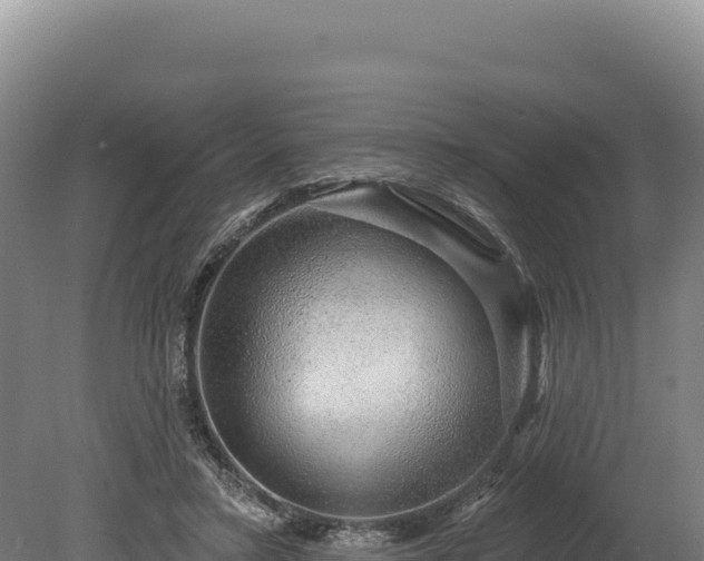 X0000080150403200612151835