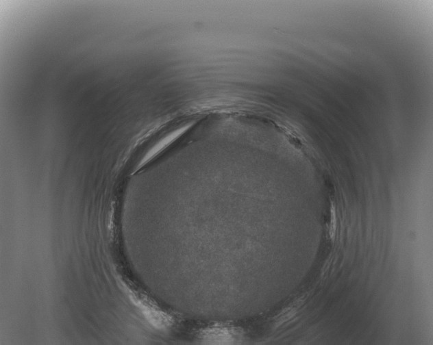 X0000080150404200612151835