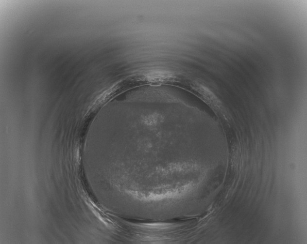 X0000080150405200612151835