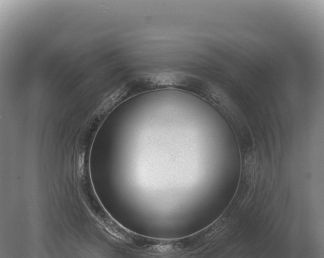 X0000080150406200612151835