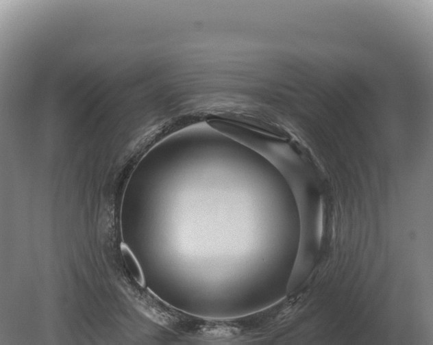 X0000080150407200612151835