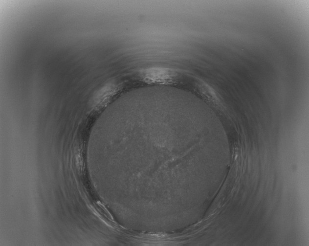 X0000080150408200612151835