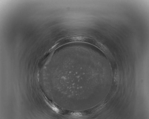 X0000080150409200612151835