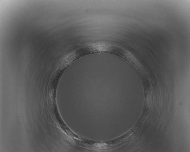 X0000080150410200612151835