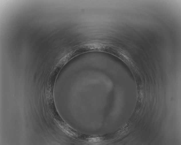 X0000080150411200612151835