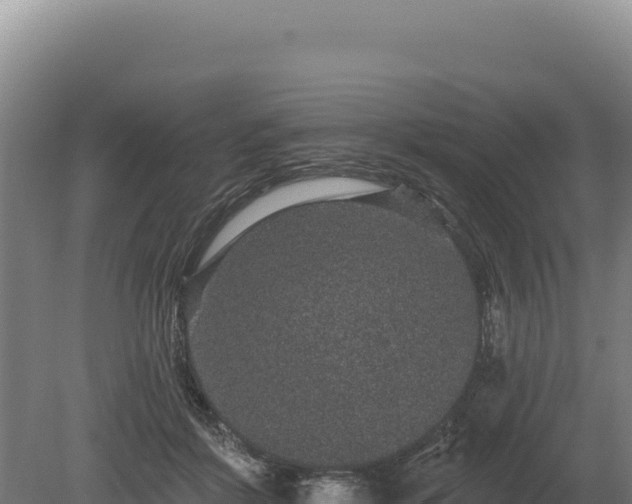 X0000080150412200612151835