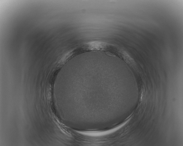 X0000080150413200612151835