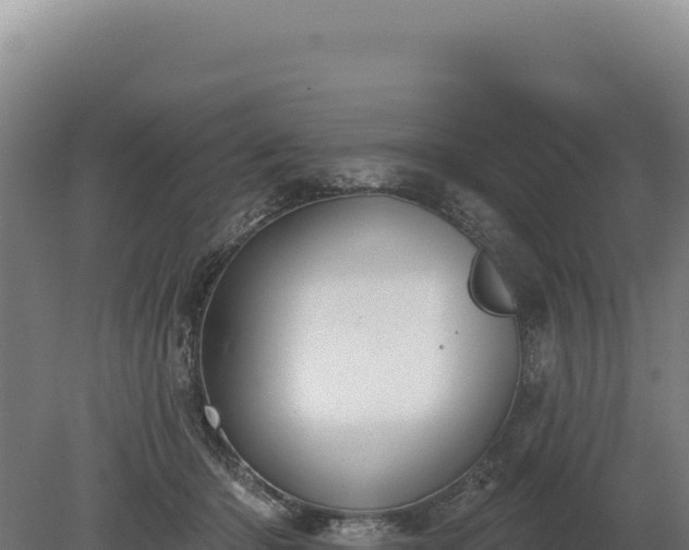 X0000080150414200612151835