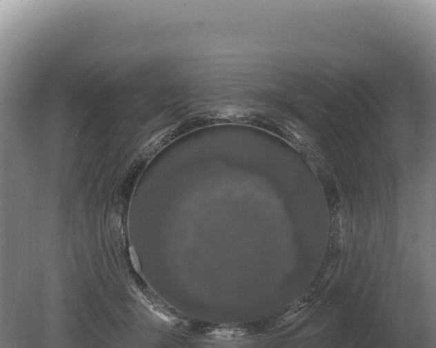 X0000080150415200612151835