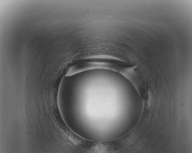 X0000080150416200612151835