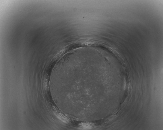 X0000080150417200612151835