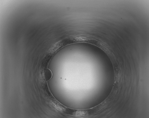 X0000080150418200612151835