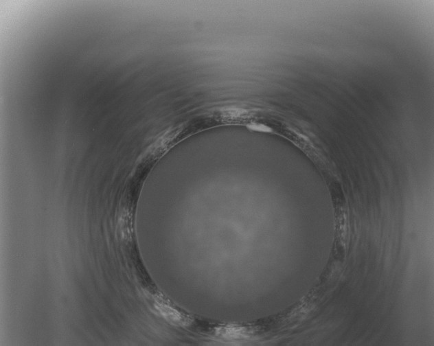 X0000080150419200612151835