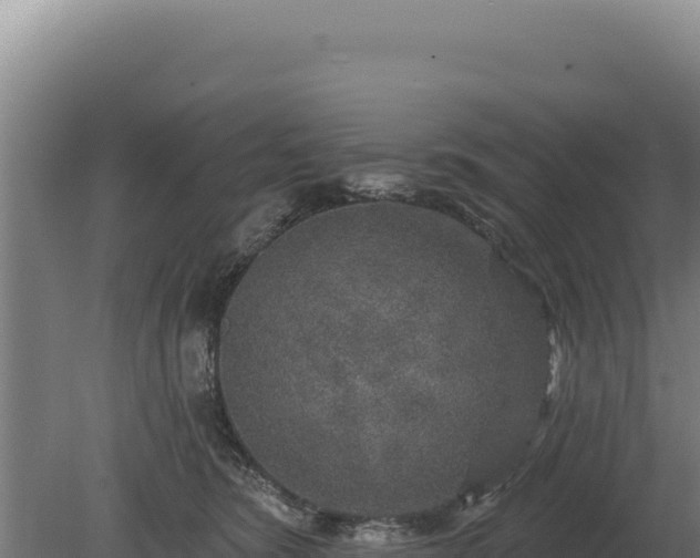 X0000080150420200612151835