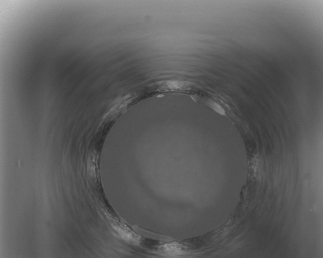 X0000080150423200612151835