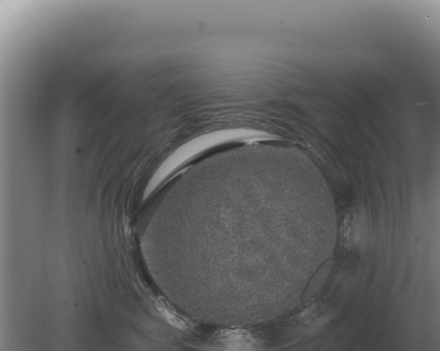 X0000080150424200612151835