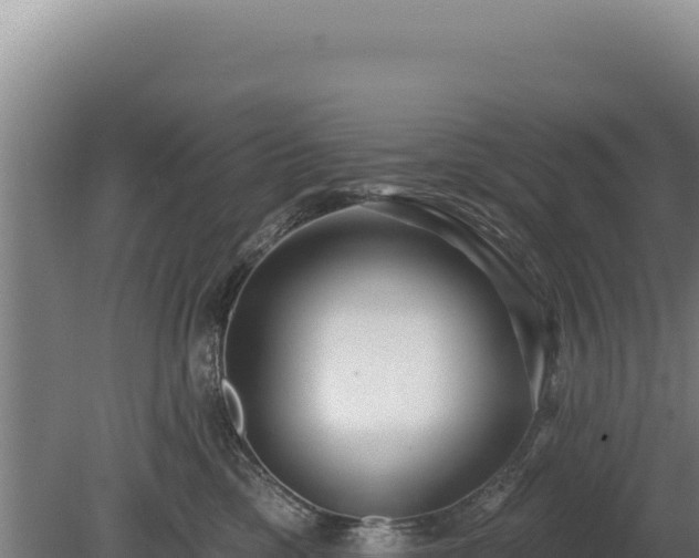 X0000080150425200612151835