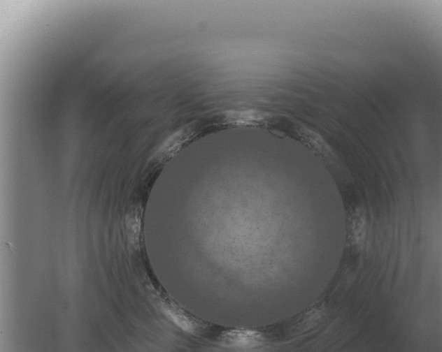 X0000080150427200612151835