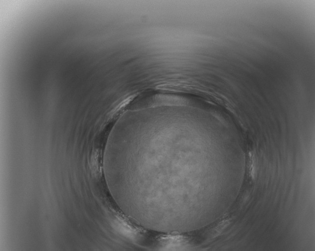 X0000080150428200612151835