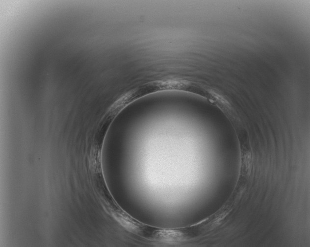 X0000080150429200612151835